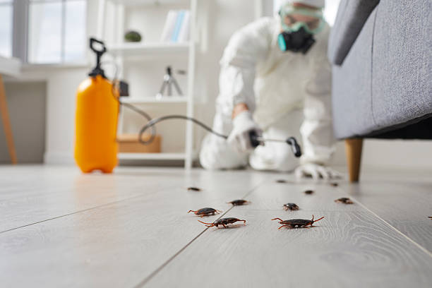 Commercial Kitchen Cockroach Control in Palos Hills